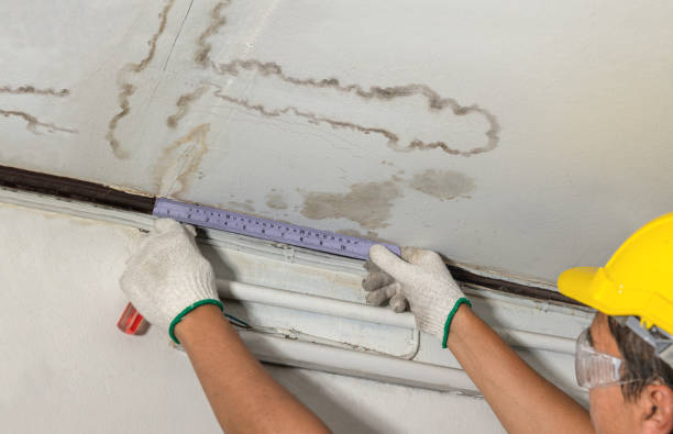 Reliable Mold Remediation contractor in Monroe Bridge, MA by Water Damage Irwin